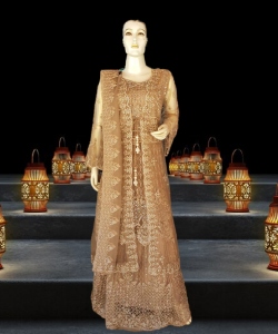 Golden shrug hotsell for gown